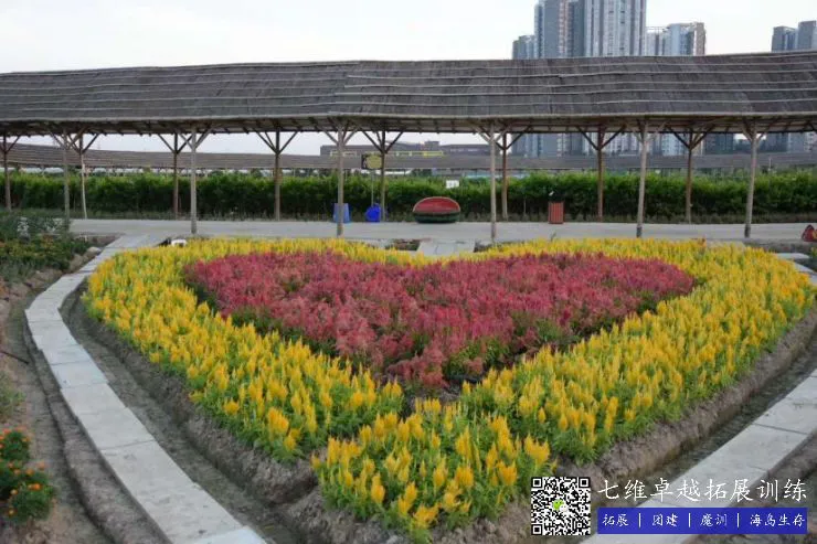 如何制定一个有效的篮球训练支持计划_2